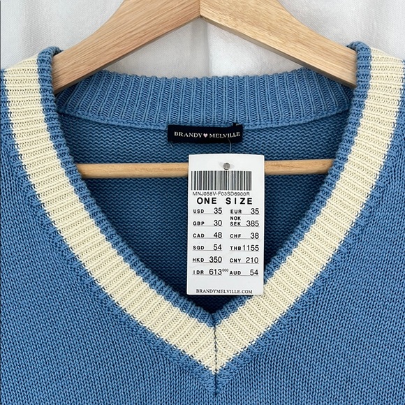 Brand New Brandy Melville -Blue V-Neck Sweater with Cream Accents - Picture 6 of 6